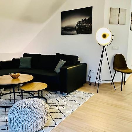Ein Blick Uber Das Elbtal Dresden Exterior photo